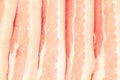 Raw Bacon Background