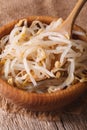 Raw bean sprouts mung macro in a wooden bowl. vertical