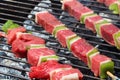 Beef brochette on barbecue Royalty Free Stock Photo