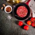 Raw beef burgers cutlets Royalty Free Stock Photo