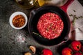 Raw beef burgers cutlets Royalty Free Stock Photo