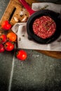 Raw beef burgers cutlets Royalty Free Stock Photo
