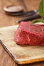 Raw beef meat fillet Royalty Free Stock Photo