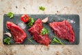 Raw beef meat tenderloin Royalty Free Stock Photo