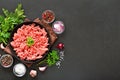 Raw beef minced meat on plate Royalty Free Stock Photo