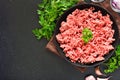 Raw beef minced meat on plate Royalty Free Stock Photo