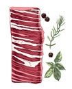 Raw beef skirt steak vector Royalty Free Stock Photo