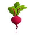 Raw beet icon, cartoon style