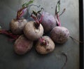 Raw beetroot on a black background Royalty Free Stock Photo