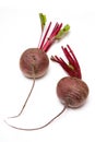 Raw beetroot bulbs Royalty Free Stock Photo