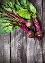 Raw beetroot Royalty Free Stock Photo