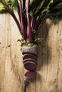 Raw beetroot on a rustic wooden table Royalty Free Stock Photo
