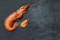 Raw big and small fresh prawn, shrimp on black desk, background with copy space Royalty Free Stock Photo