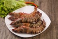 Raw big tiger prawn Royalty Free Stock Photo
