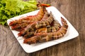 Raw big tiger prawn Royalty Free Stock Photo