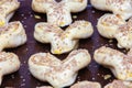 Raw biscuits on a baking sheet, ready to cook Royalty Free Stock Photo