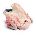 Raw black feet chicken