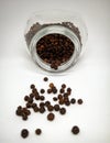 Raw black pepper seed is to add spiciness to the food