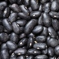 Raw black turtle beans close up