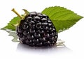 Raw blackberry berry with leaf on white background.Macro.Ai Generative