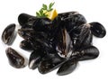 Raw Blue Mussel on White Royalty Free Stock Photo