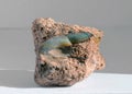 Raw Blue Opal Boulder