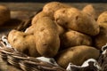 Raw Borwn Organic Russet Potatoes Royalty Free Stock Photo