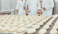 Raw bread is making on the automatic equipment line in the bakery.