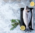 Raw bream fish with herbs Royalty Free Stock Photo