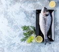 Raw bream fish with herbs Royalty Free Stock Photo