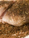 Raw Breast of Chicken with Jerk Seasoning Royalty Free Stock Photo