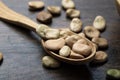 Raw broad beans in a spoon Royalty Free Stock Photo