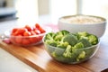 raw broccoli beside bowl of cooked broccoli rice Royalty Free Stock Photo