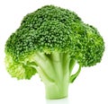 Raw broccoli isolated Royalty Free Stock Photo
