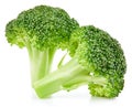 Raw broccoli isolated Royalty Free Stock Photo