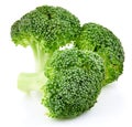 Raw broccoli isolated Royalty Free Stock Photo