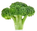 Raw broccoli isolated Royalty Free Stock Photo