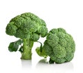 Raw broccoli isolated Royalty Free Stock Photo