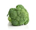 Raw broccoli isolated Royalty Free Stock Photo
