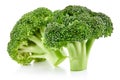 Raw broccoli isolated Royalty Free Stock Photo