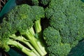 Raw broccoli on plate