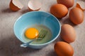 Raw broken egg with yolk in bowl Royalty Free Stock Photo