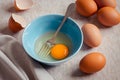 Raw broken egg with yolk in bowl Royalty Free Stock Photo