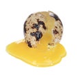 Raw broken quail egg Royalty Free Stock Photo