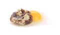 Raw broken quail egg Royalty Free Stock Photo