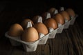 Raw brown chicken eggs box Royalty Free Stock Photo