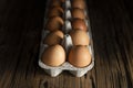 Raw brown chicken eggs box Royalty Free Stock Photo