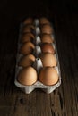 Raw brown chicken eggs box Royalty Free Stock Photo