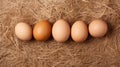 raw brown chicken eggs on hay nest generative AI Royalty Free Stock Photo