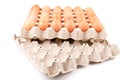 Chicken Eggs In paper tray box. Royalty Free Stock Photo